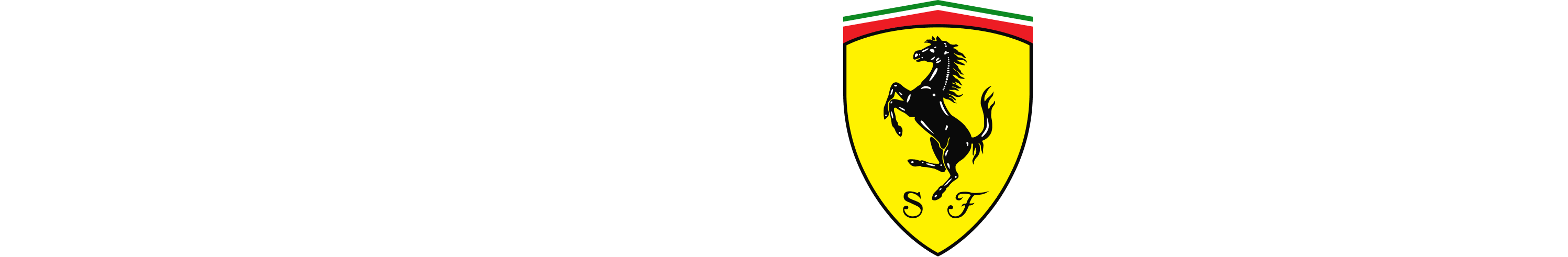 IBM/Ferrari Premium Partner